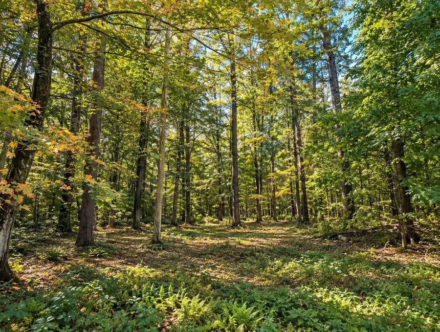 Lot 3 Ma-41, Richmond, MA 01254 - #3