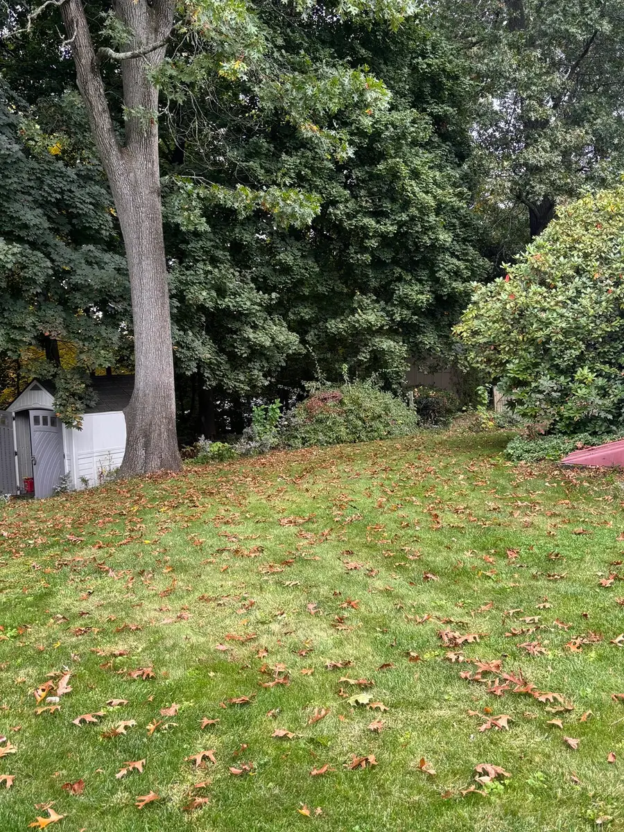 250 W Allen Ridge Rd, Springfield, MA 01118 - #3