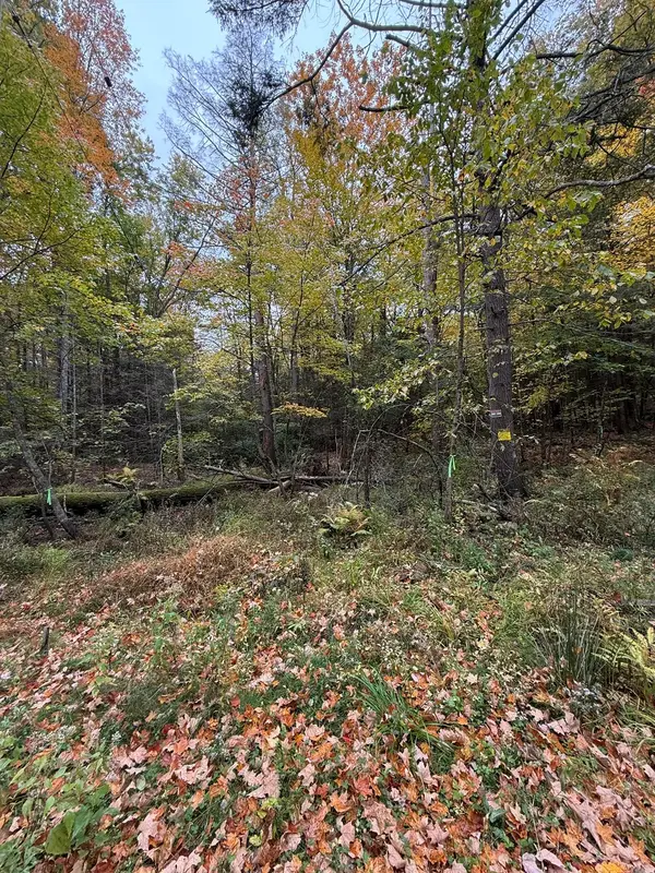 0 Old Stage Rd, Hatfield, MA 01038