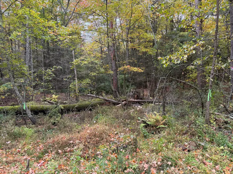 0 Old Stage Rd, Hatfield, MA 01038 - #2