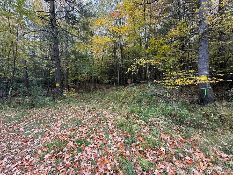0 Old Stage Rd, Hatfield, MA 01038 - #3