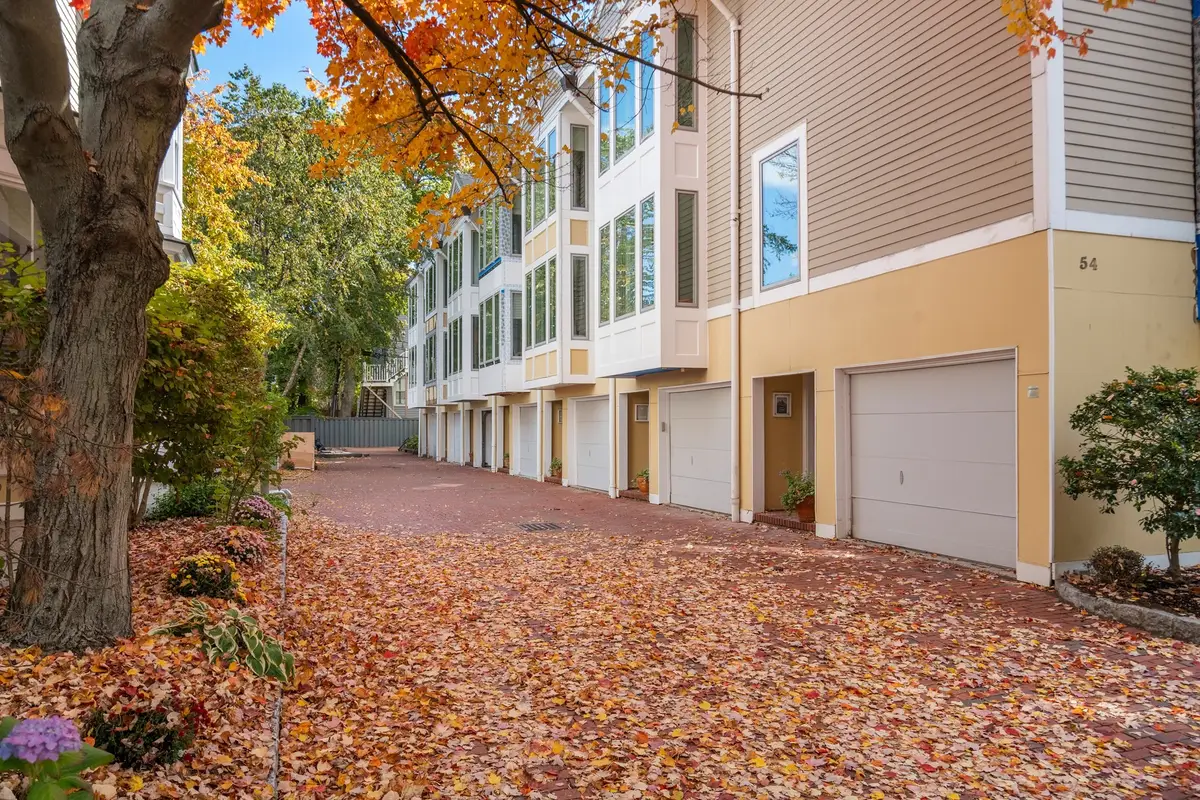 54 Trowbridge Street #B, Cambridge, MA 02138 - #1