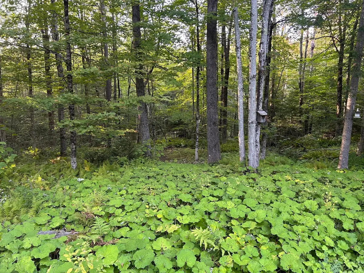 0 West St., Plainfield, MA 01070 - #1