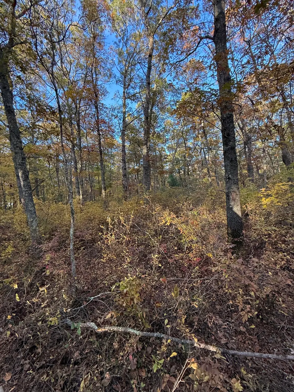 0 Highland Ave Lot 1, Dartmouth, MA 02748 - #1