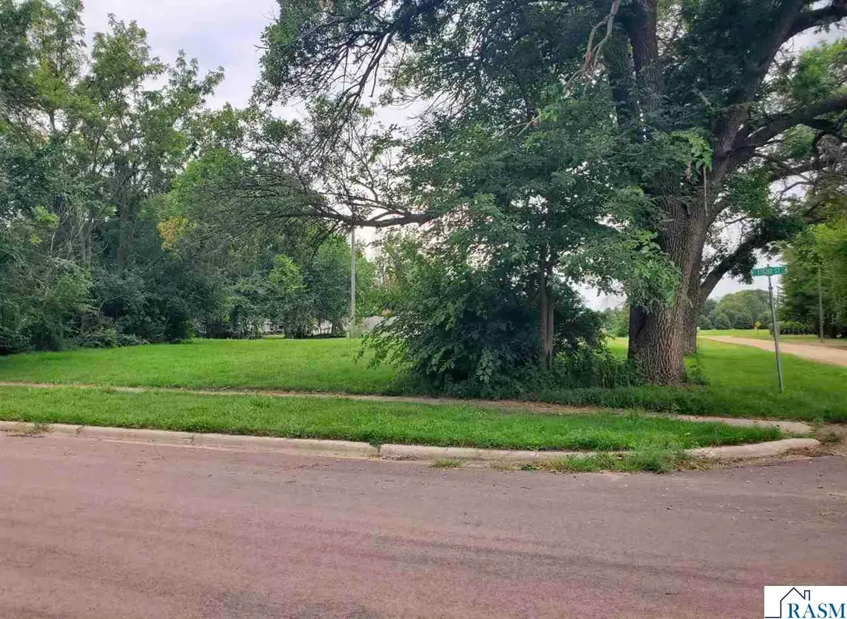 295 8th  Street, Bingham Lake, MN 56120 - #1