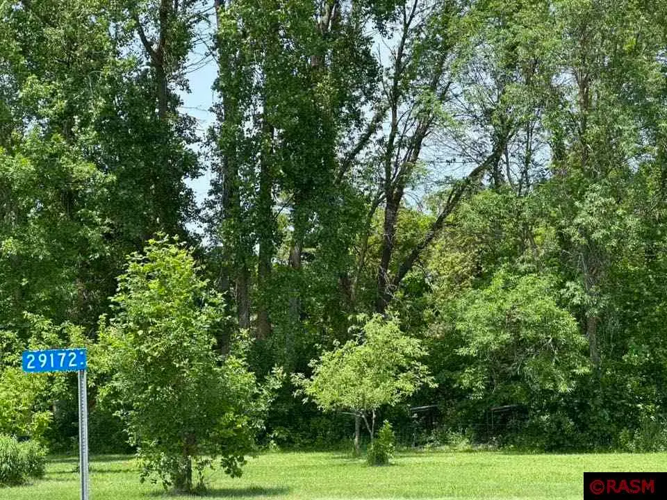 29172 Biehn Drive, Madison Lake, MN 56063 - Image #1