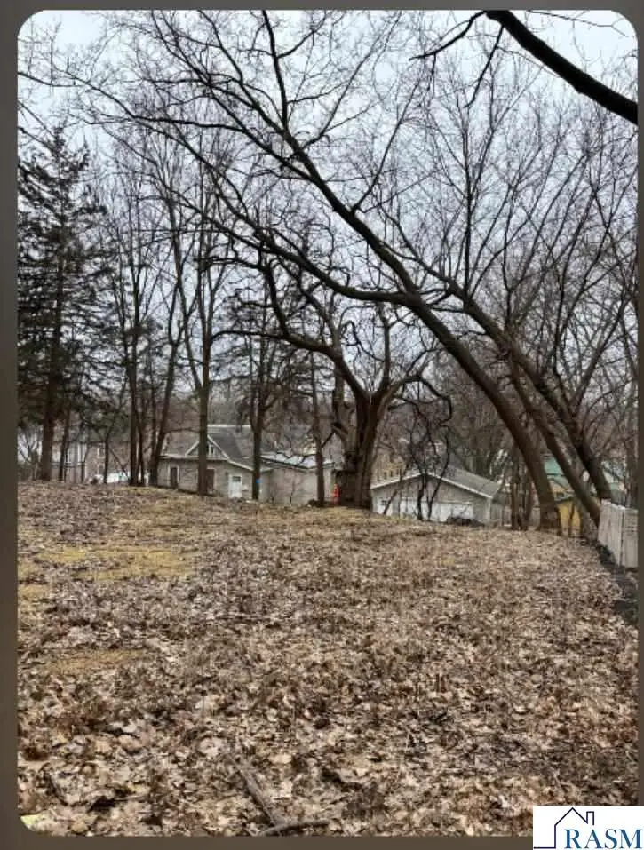 1117 N 7th Street, Mankato, MN 56001 - #1