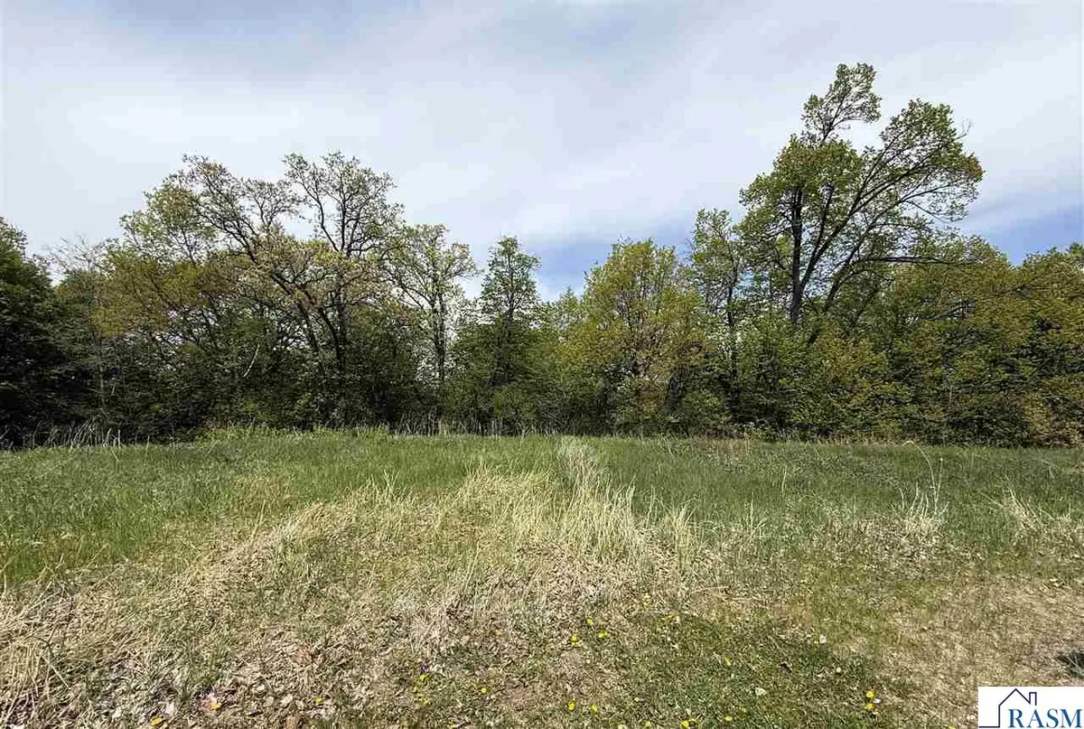 1217 Settler Trail, New Ulm, MN 56073 - #1