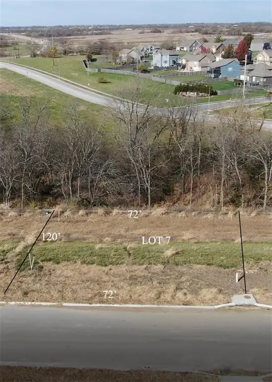 1404 Larkspur Place, Raymore, MO 64083 - #3