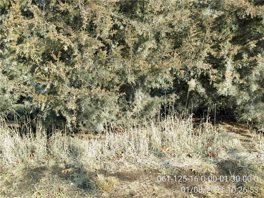 000 Pine Drive, Paola, KS 66071 ERA