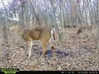 #3