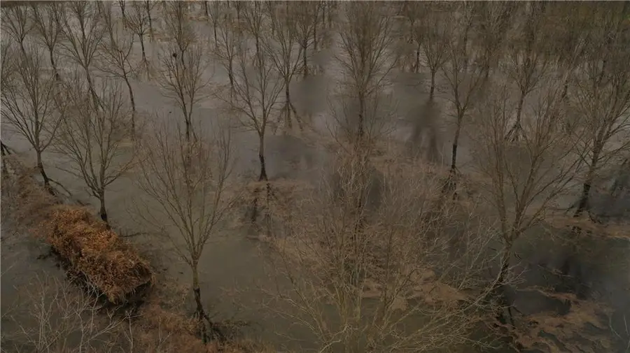 17440 115th Road, Erie, KS 66733 - Image #3