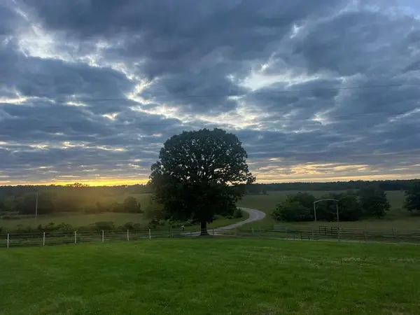 Y Highway, Birch Tree, MO 65438