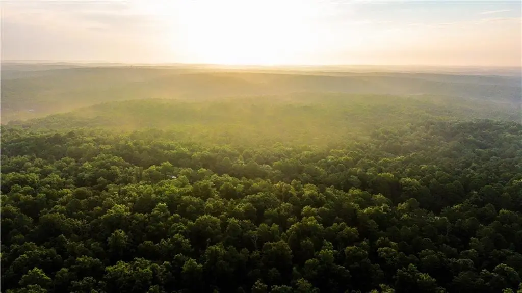 County Road Y-617 N/a, Birch Tree, MO 65438 - Image #1