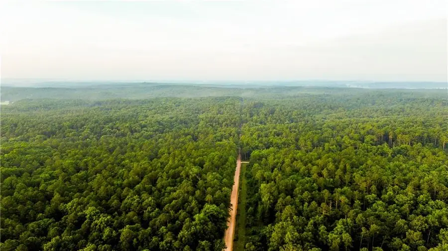 County Road Y-617 N/a, Birch Tree, MO 65438 - Image #3