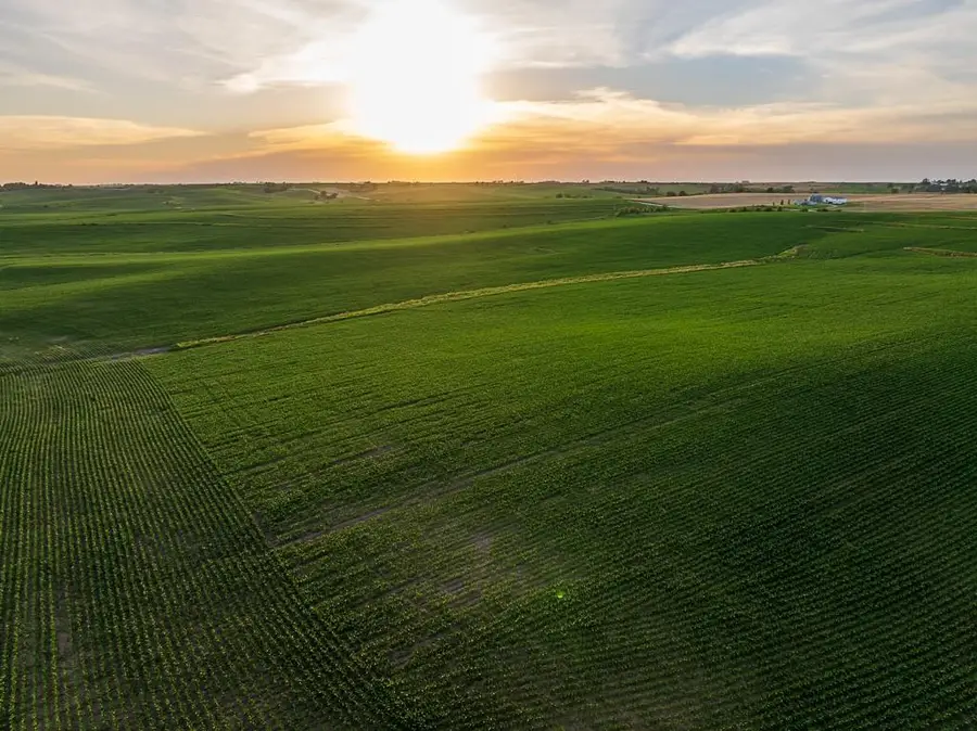 64919 Yankton Road, Noble, IA 50864 - #3