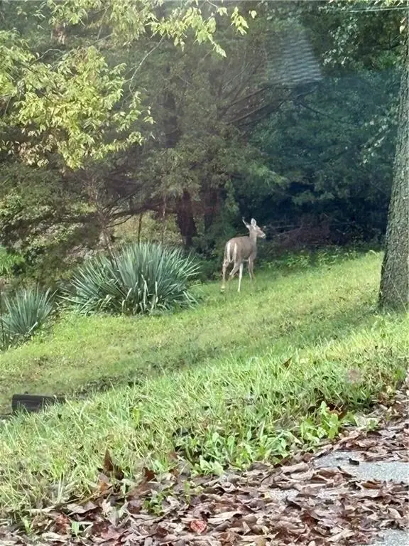 12334 Charlotte Street, Kansas City, MO 64146 - Image #2