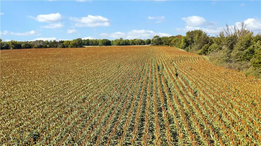 38939 W 387th Road, Lane, KS 66042 - Image #3