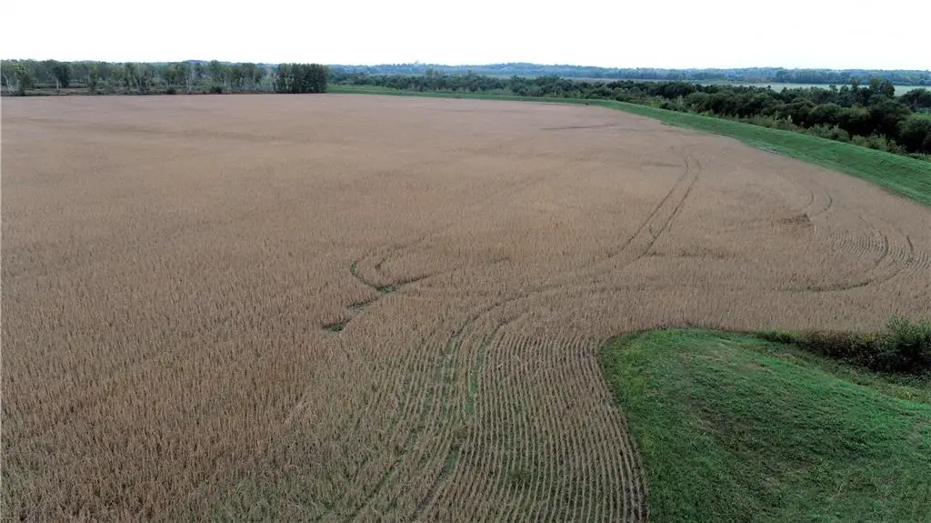 County Road 412 Road, De Witt, MO 64639 - #1