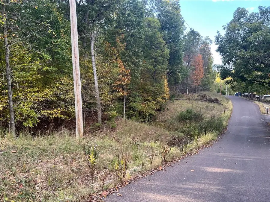 8,9,12 &SW 1/4 Red Hollow Road, Gravois Mills, MO 65037 - Image #3