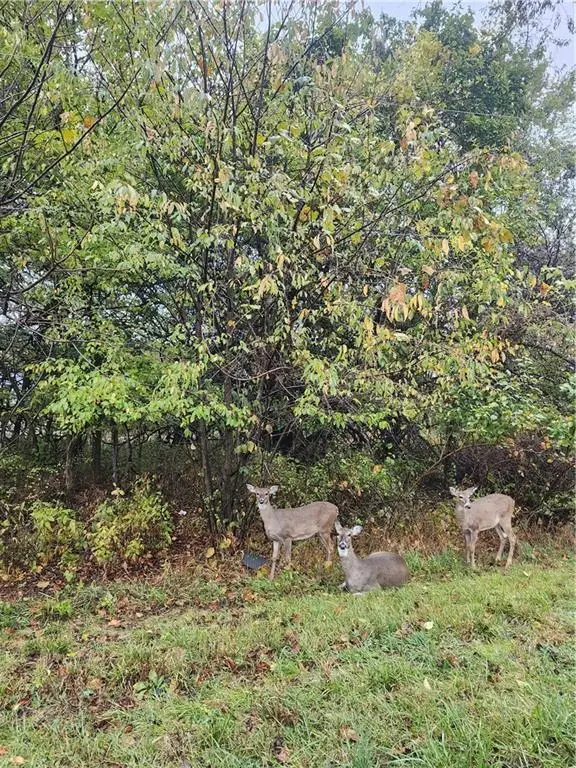 29 Ohio Drive, Linn Valley, KS 66040