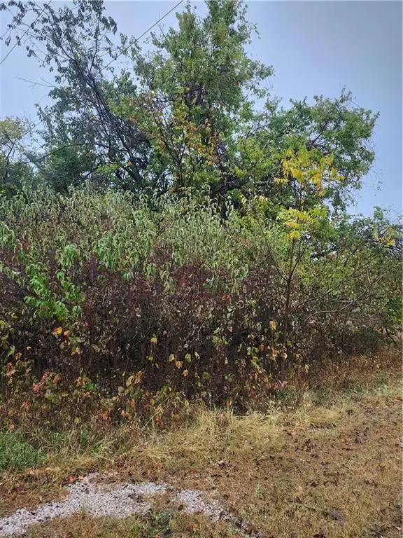 29 Ohio Drive, Linn Valley, KS 66040 - Image #2