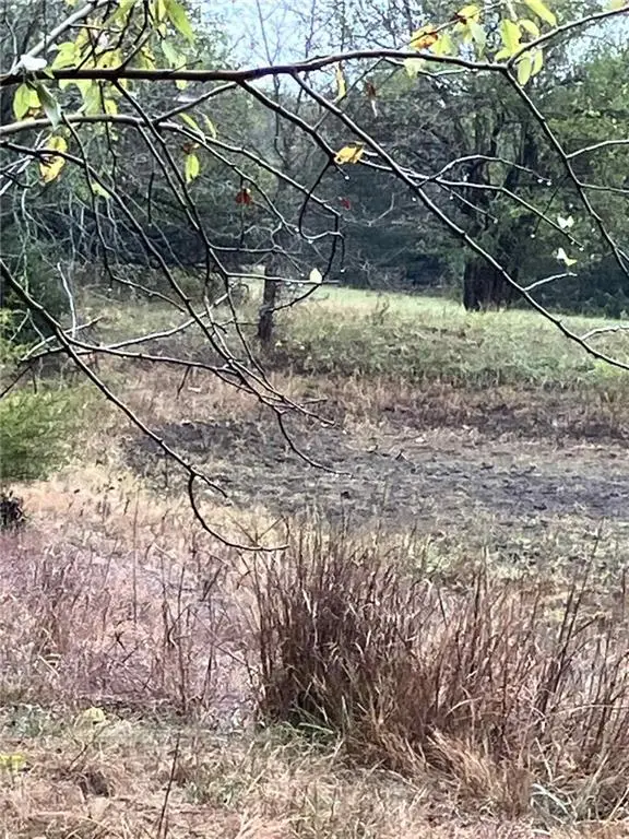 Zinc Road, Blue Mound, KS 66010 - Image #2