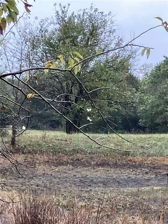 Zinc Road, Blue Mound, KS 66010 - Image #3