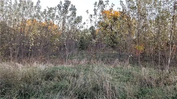 tbd SW 815 Road, Holden, MO 64040