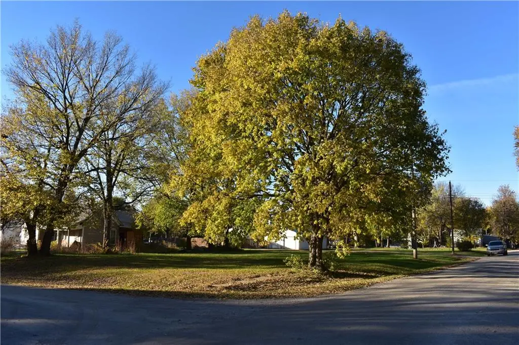 3rd Street, Burlington Junction, MO 64428 - Image #1