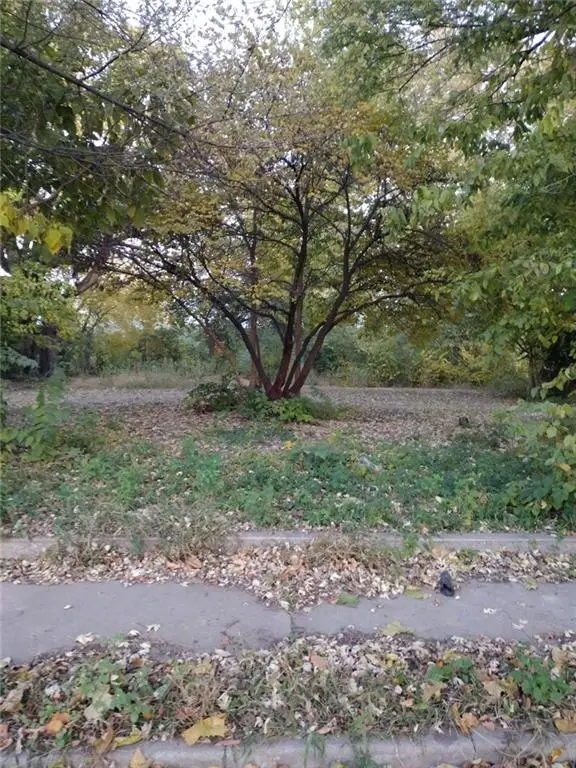 737 N Montgall Avenue, Kansas City, MO 64120 - Image #2