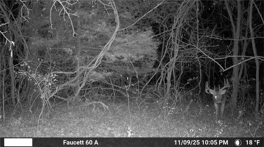 Sparta Road, Faucett, MO 64448 - Image #2