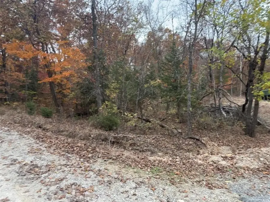 Henry Acres Road, Lincoln, MO 65338 - Image #2