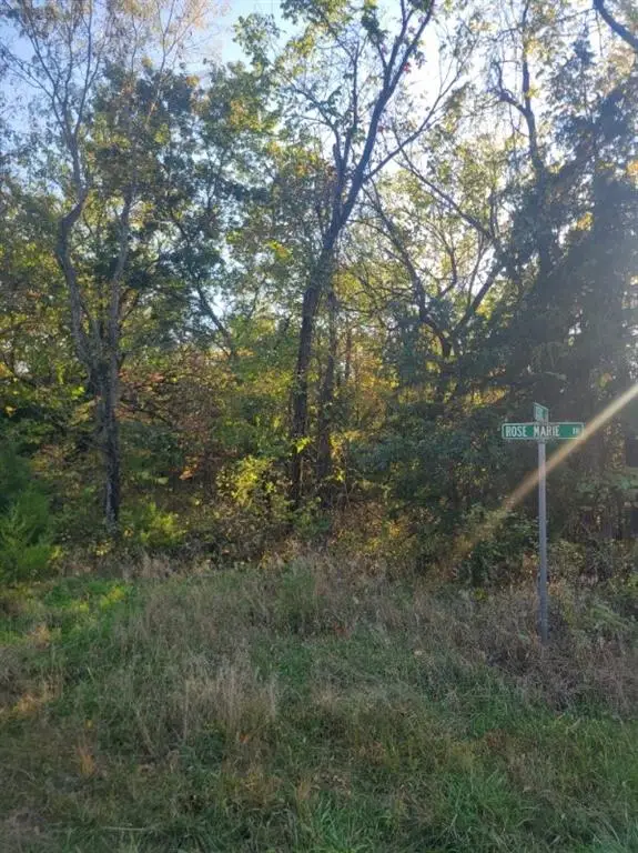 149 Rose Marie Drive, Linn Valley, KS 66040 - Image #1