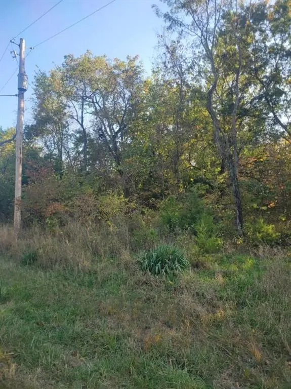 149 Rose Marie Drive, Linn Valley, KS 66040 - Image #2