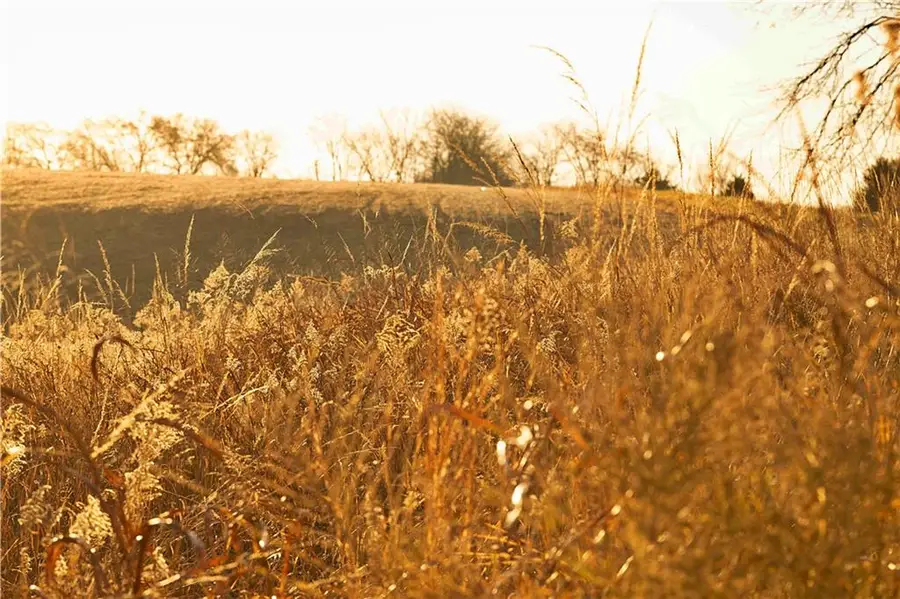 432 Road, Savannah, MO 64485 - Image #2