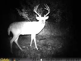 3025 Utah Terrace, Rantoul, KS 66079