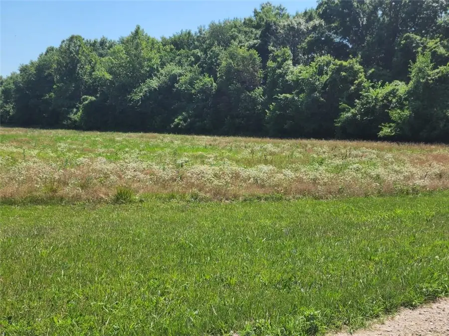 10 Acres 209th Street, Kingsville, MO 64061 - Image #3