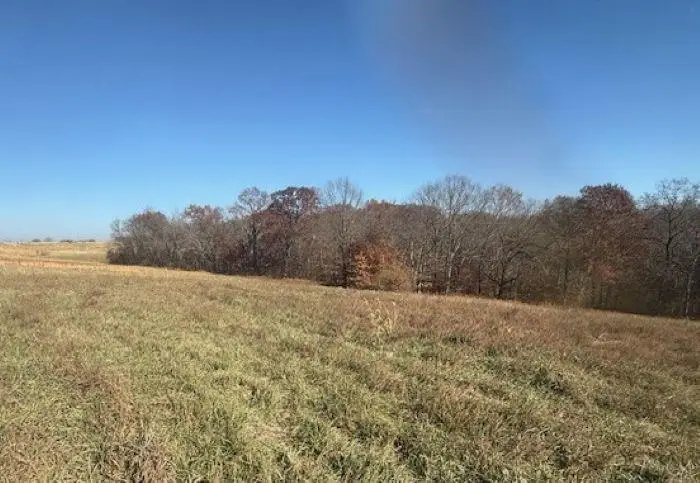 NE Mt. Olivet Road, Smithville, MO 64089 - Image #2