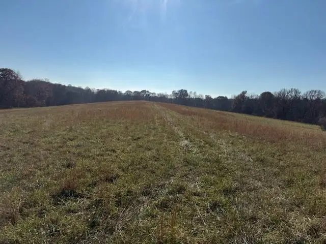 NE Mt. Olivet Road, Smithville, MO 64089 - Image #3