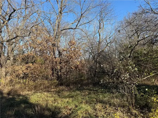 Lot 2349 Neptune Court, Gallatin, MO 64640