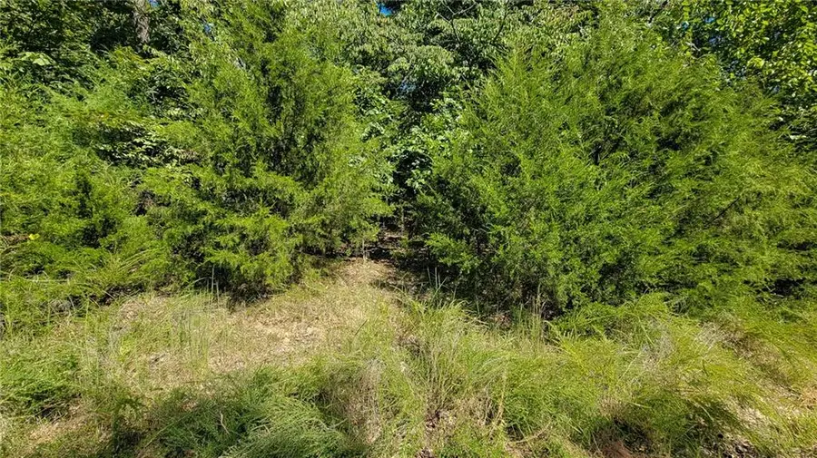 Lot #1261 Spring Creek Drive, Sunrise Beach, MO 65079 - Image #2