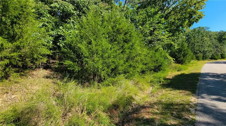 Lot #1261 Spring Creek Drive, Sunrise Beach, MO 65079 - Image #3