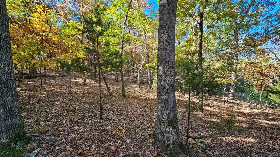 Lot #1387 Via Bella Vista Court, Sunrise Beach, MO 65079 - Image #3