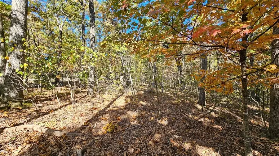 Lot #1319 Champion Court, Sunrise Beach, MO 65079 - Image #3