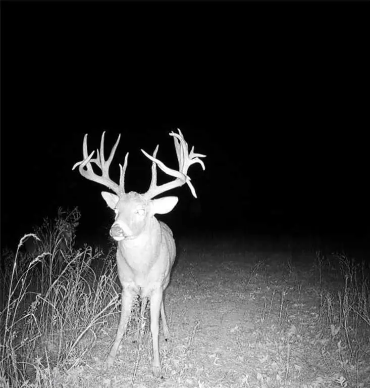 1100 N 270th Street, Arcadia, KS 66711 - Image #2