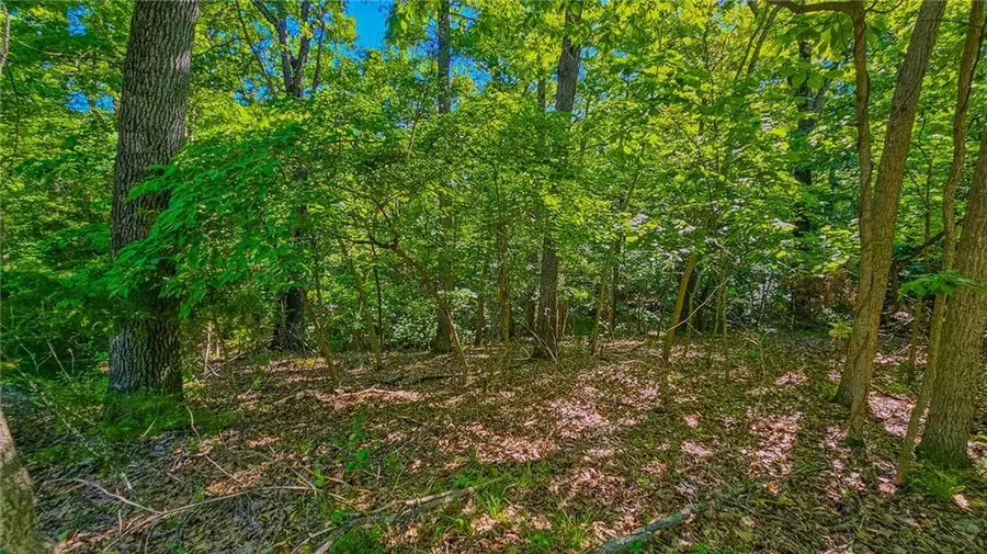 Lot #862 Grand Cypress Court, Sunrise Beach, MO 65079 - Image #2