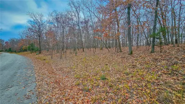 Lot #302 Lake Drive, Sunrise Beach, MO 65079