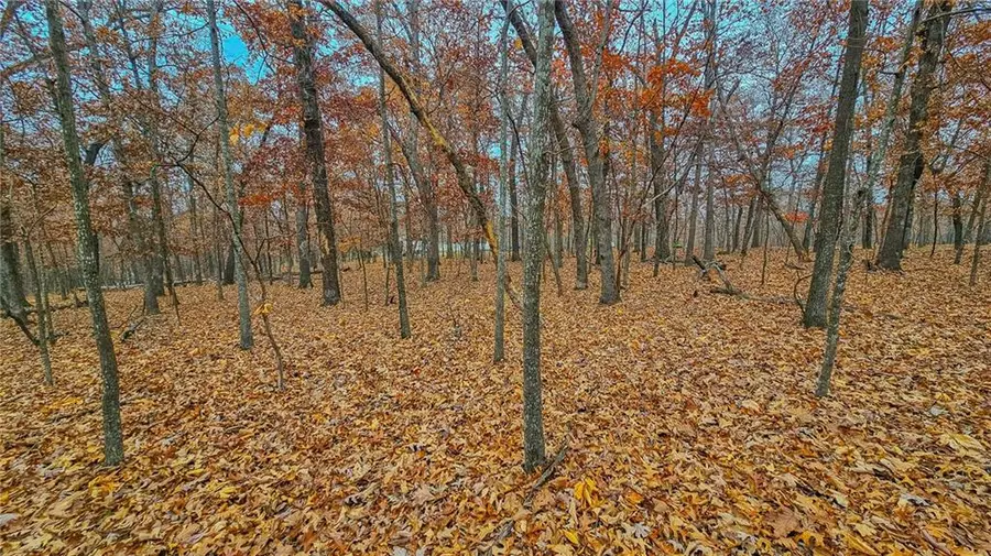 Lot #274 Grand Point Boulevard, Sunrise Beach, MO 65079 - Image #3