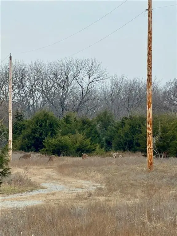 00000 Cr 1900 N/a, Independence, KS 67301 - Image #3